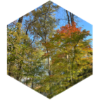 challenge badge