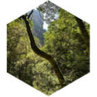 challenge badge