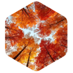 challenge badge