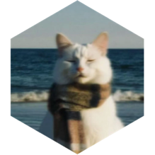 challenge badge