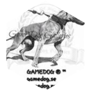 challenge badge