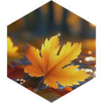 challenge badge