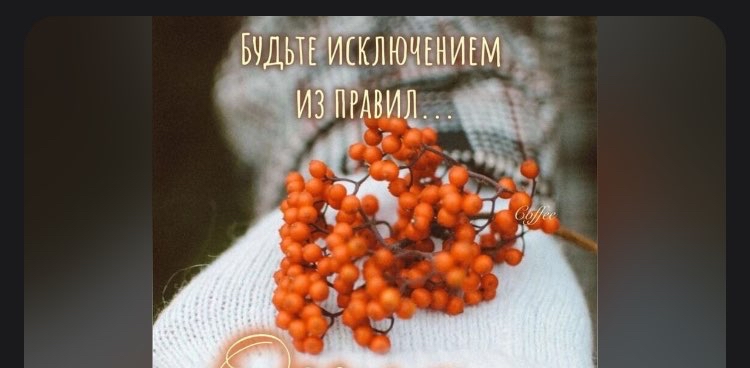 👫🏃‍♀️🏃Человек идущий . 🍁🍂Осень logo