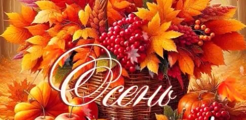 Багряный сентябрь 🍁. 1️⃣5️⃣ мгновений Осени. . logo