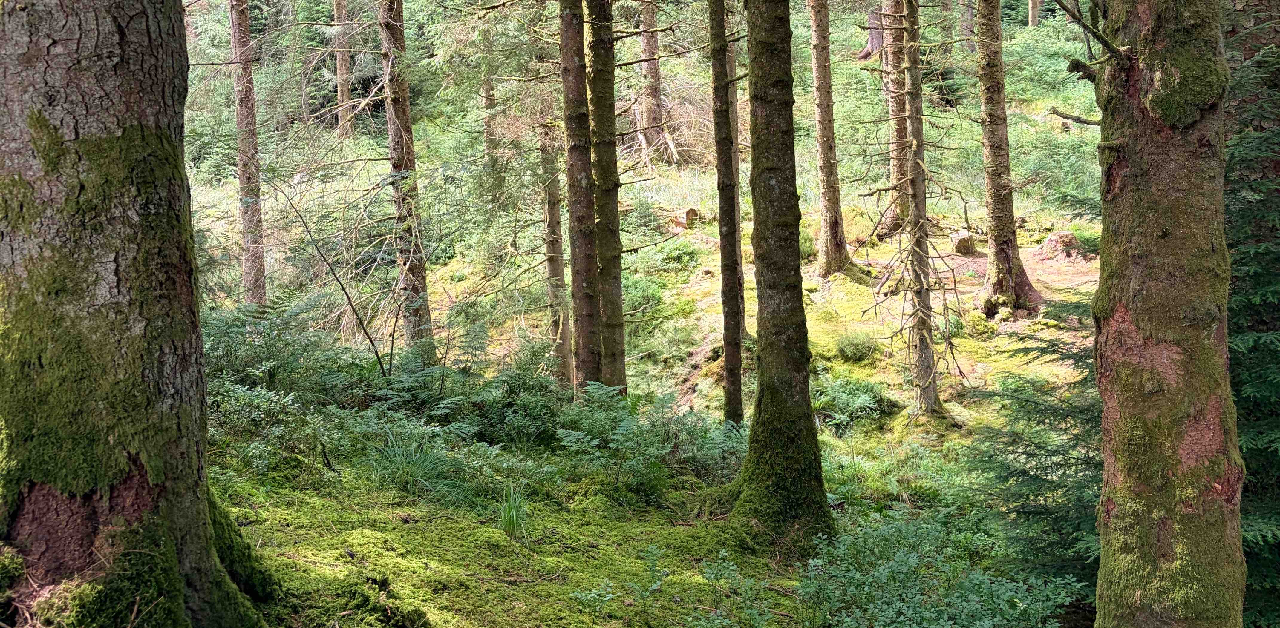 challenge background