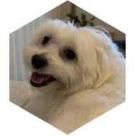 challenge badge