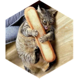 challenge badge
