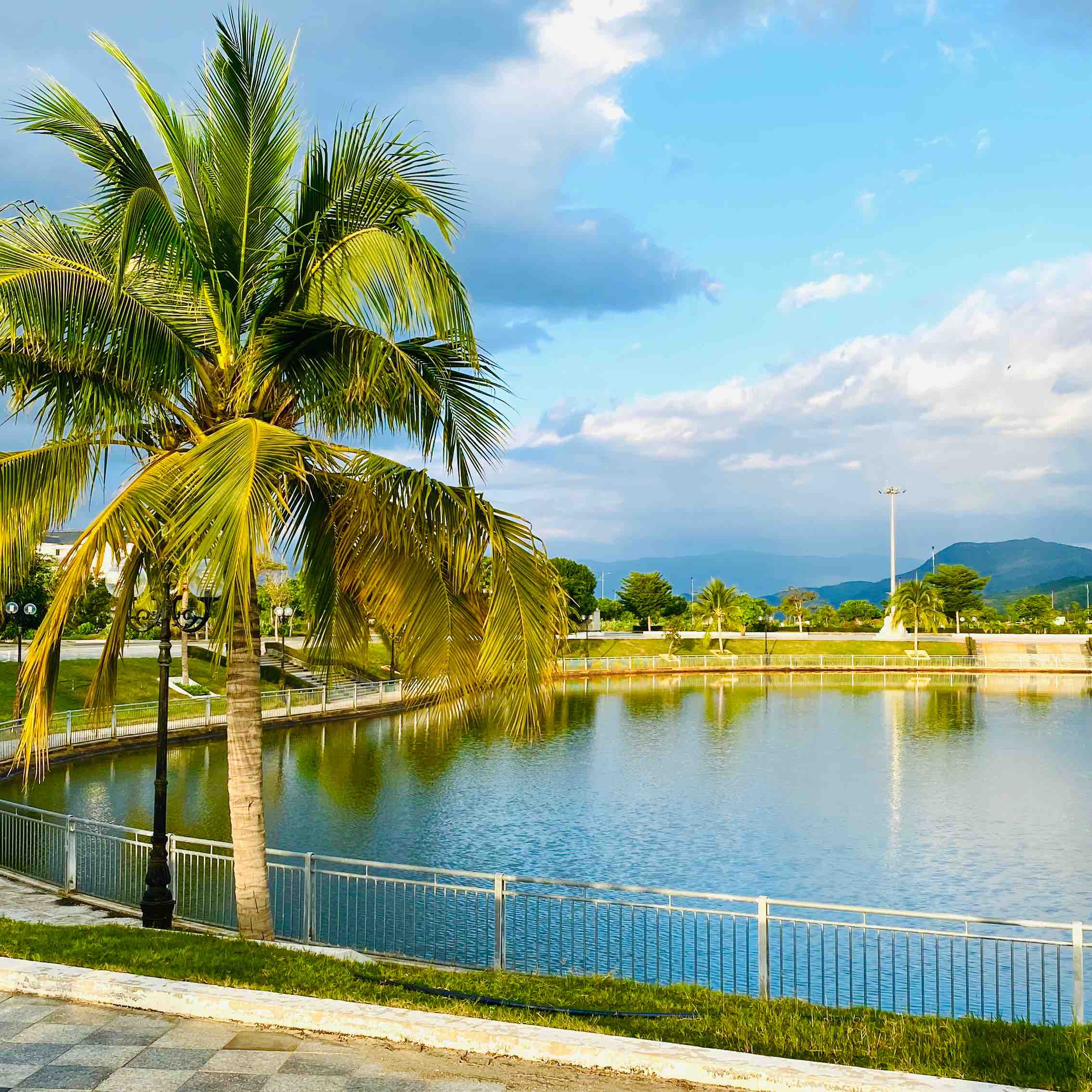 Đi bộ cùng Meo logo