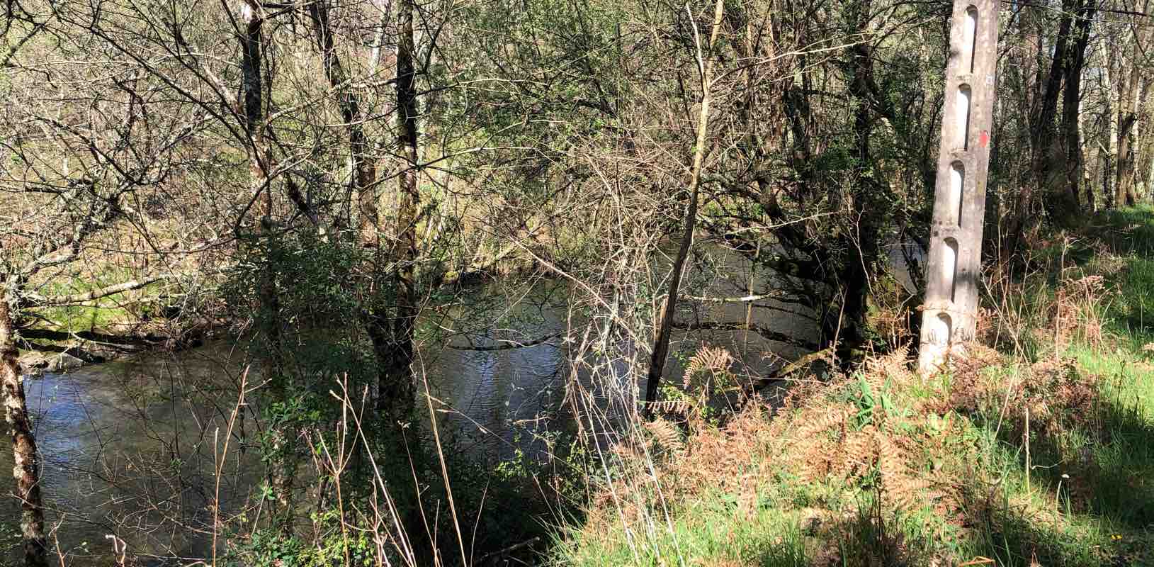 Deza-Tabeiros banner