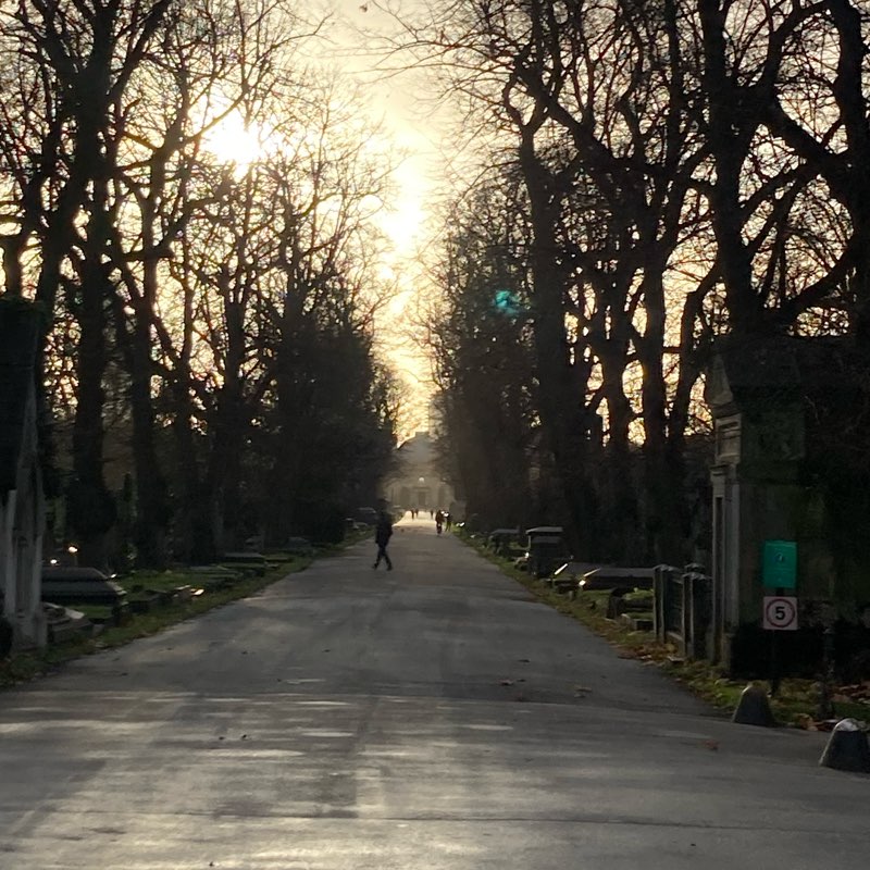 May Million Step Challenge logo