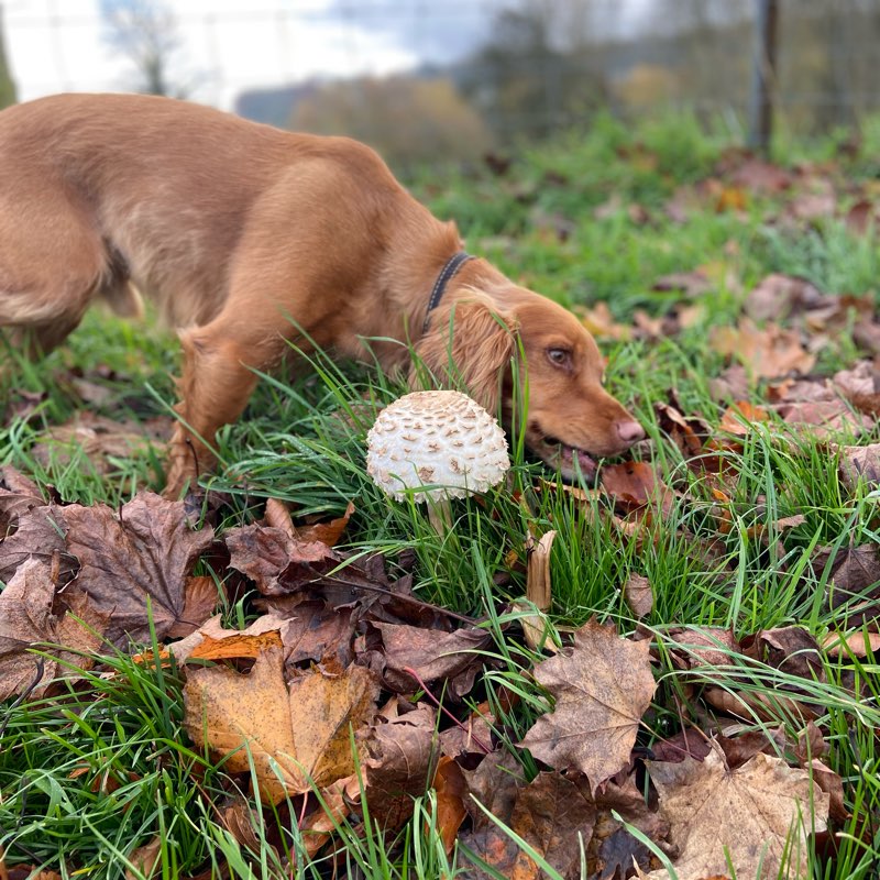 Just do it! 👊 logo