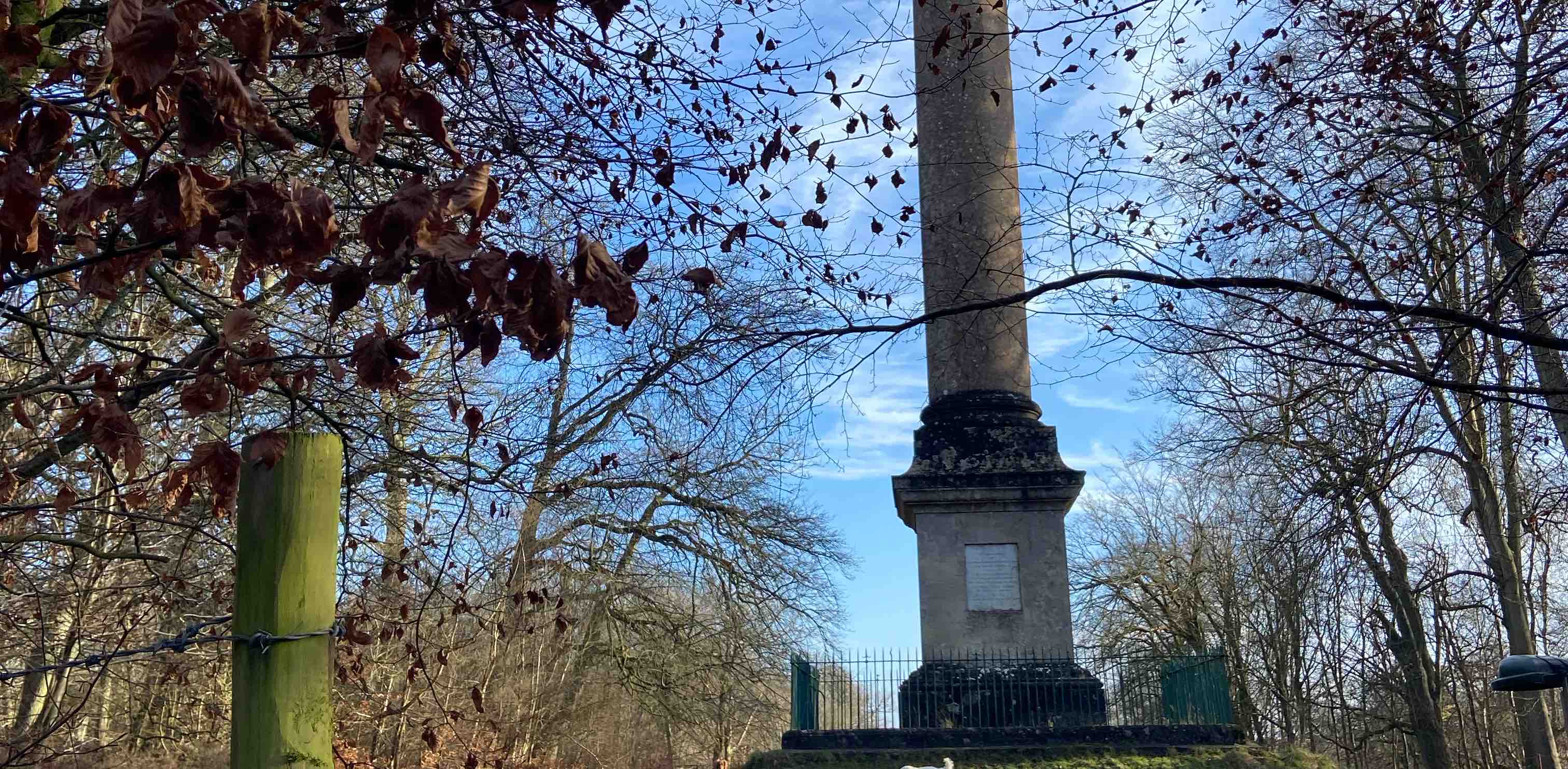 Just do it! 👊 banner