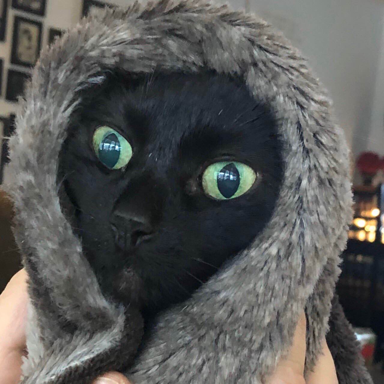 walking maniacs logo