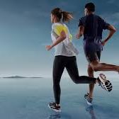 Gold Coast - Sydney walkers logo