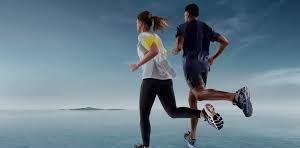 Gold Coast - Sydney walkers banner