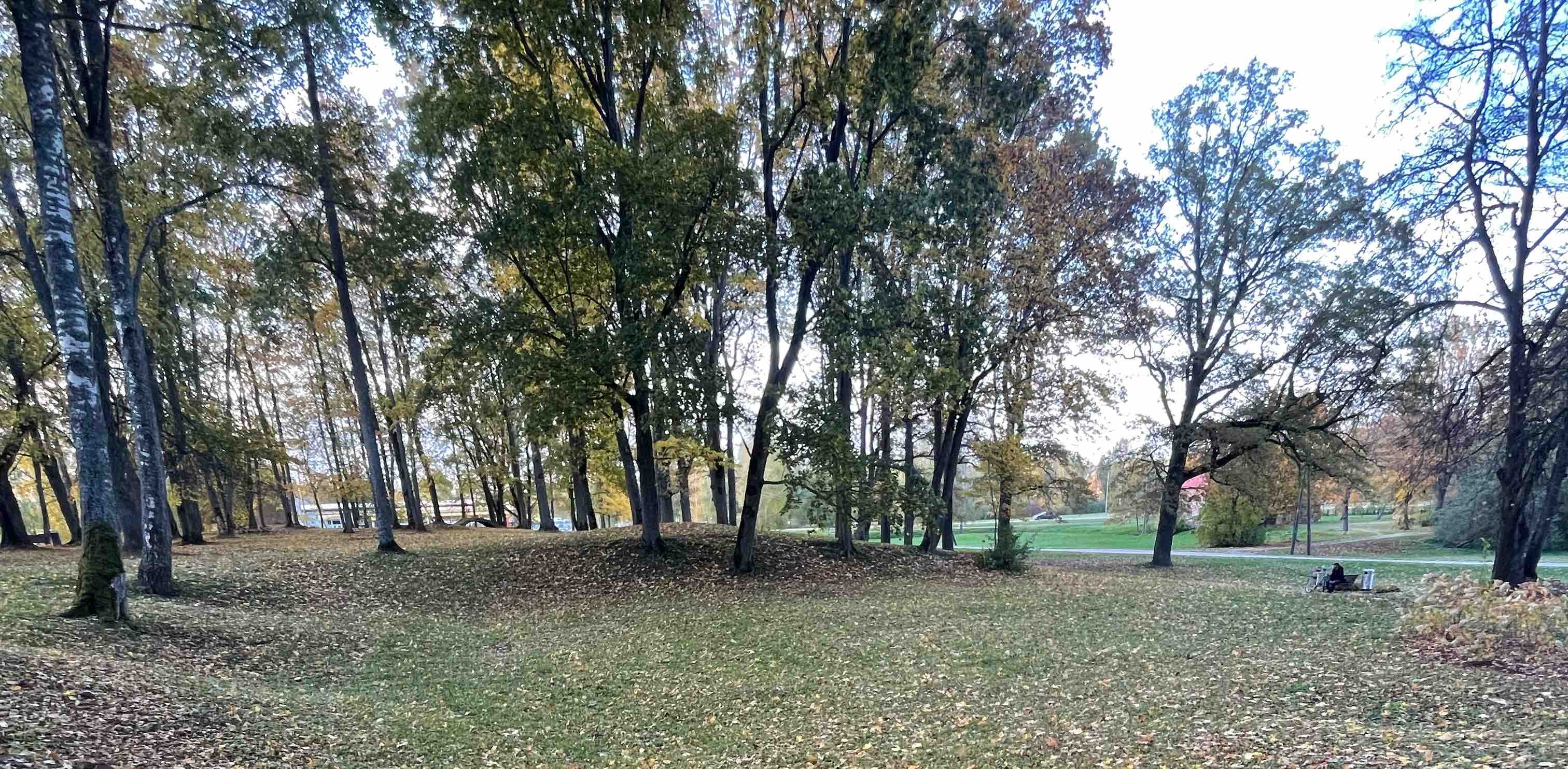 Studenšu korporācija Varavīksne banner