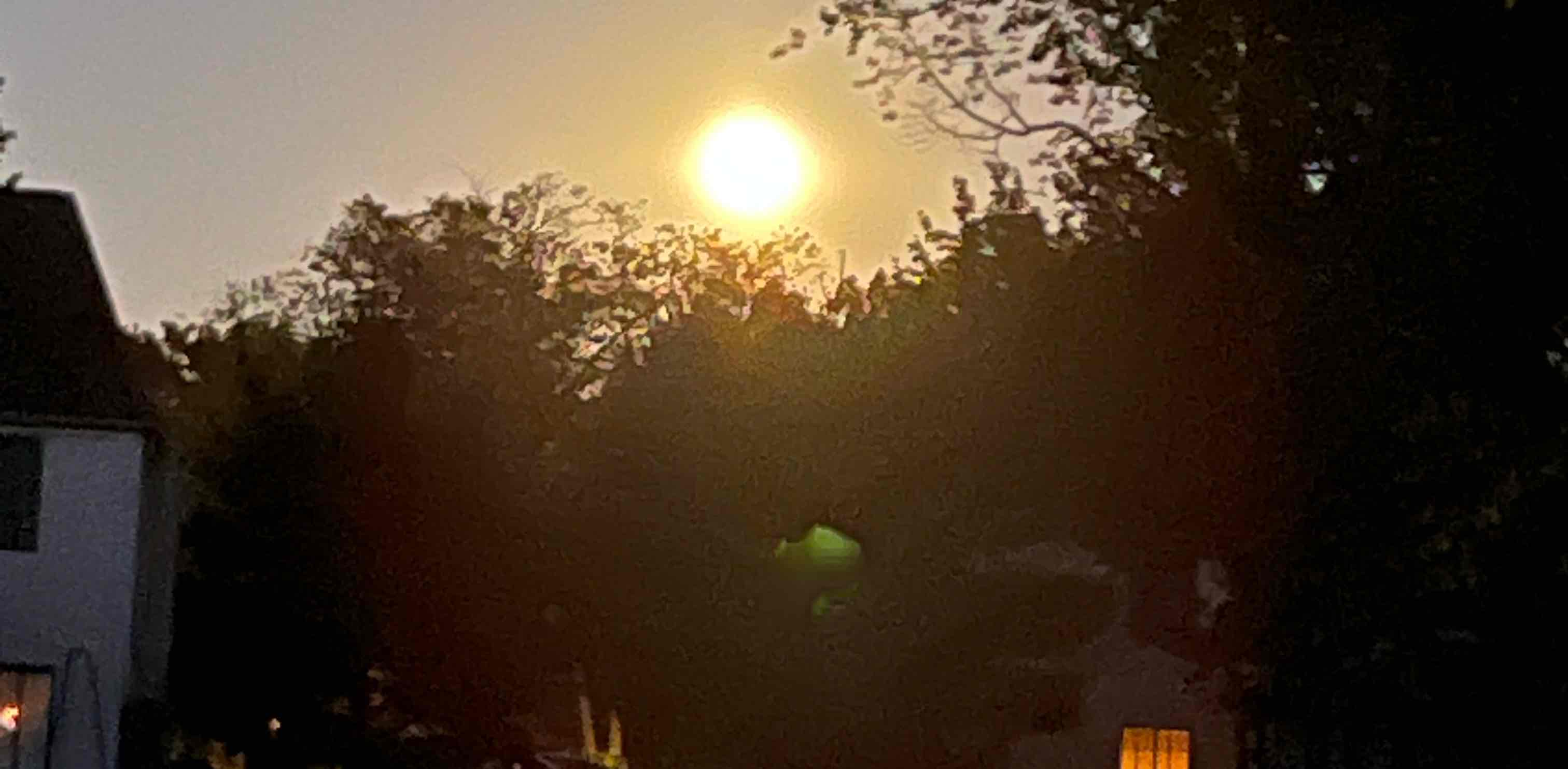 PG walking group banner