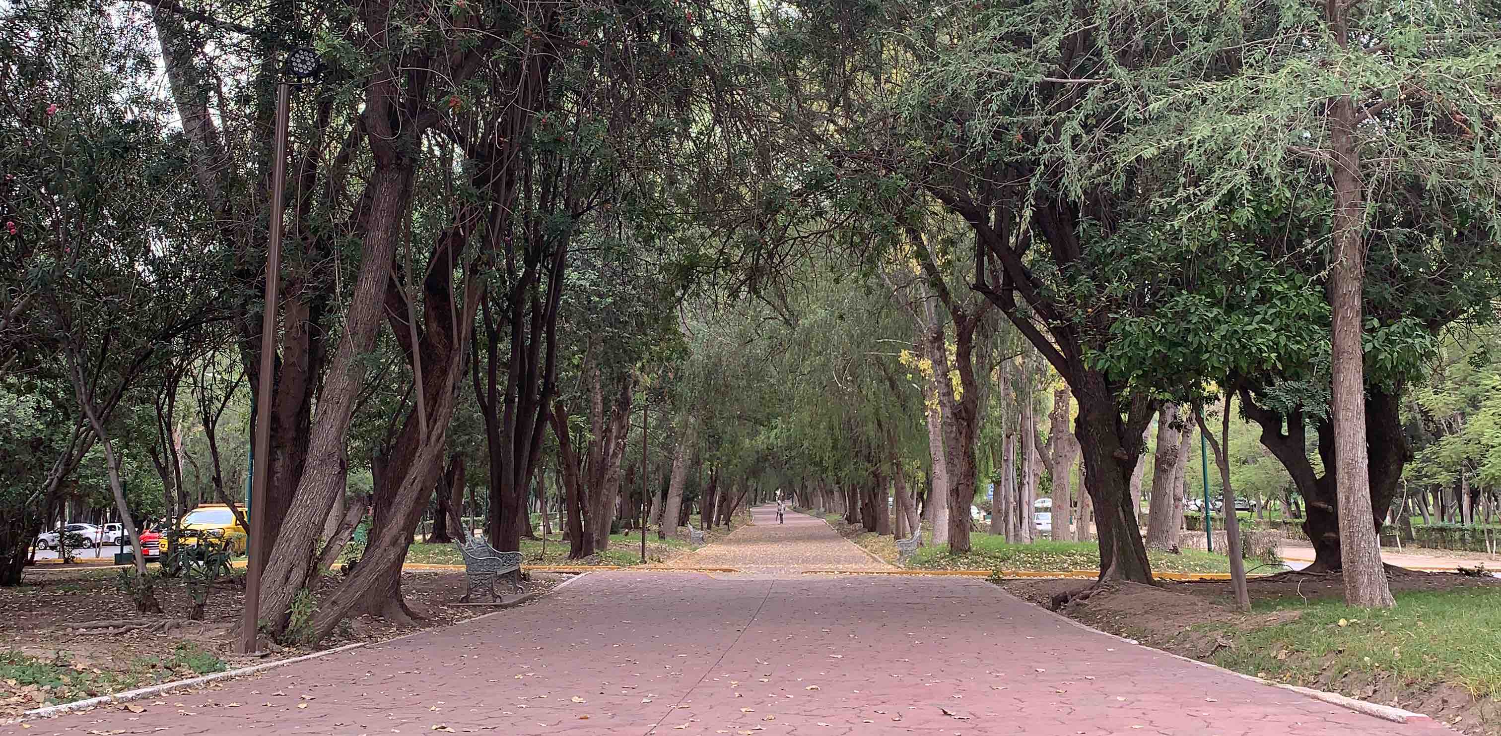 🏃🏽‍♂️Huasteca potosina 🏃🏽 banner