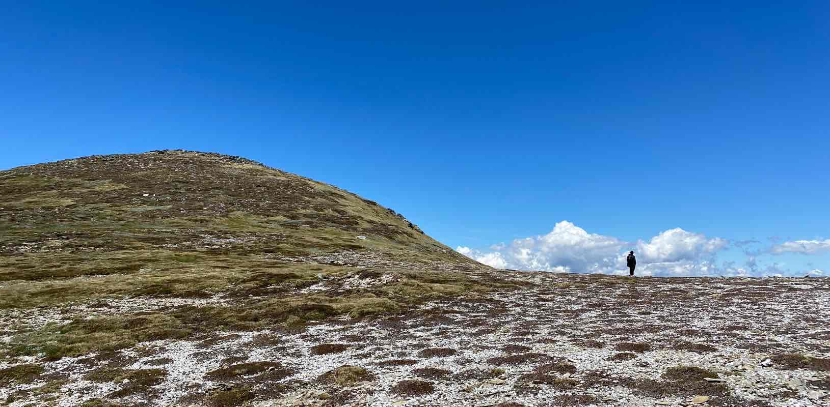 Let’s get moving!! banner