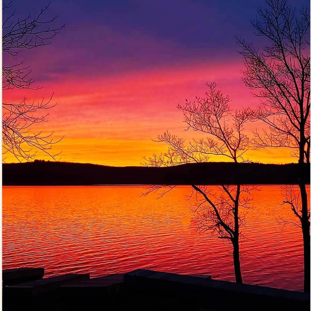 Pacing for progress logo