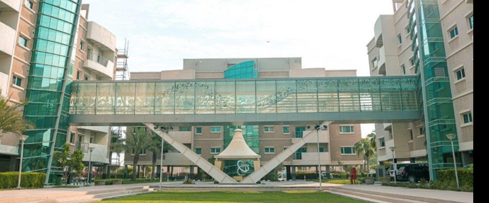 A Walk for Health - Enaya/Daam banner