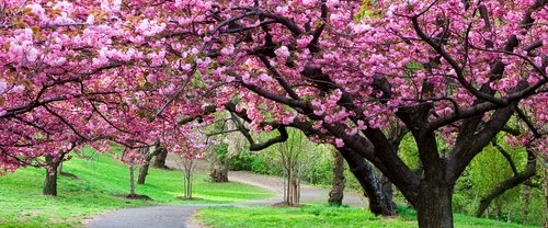 Team New Jersey banner