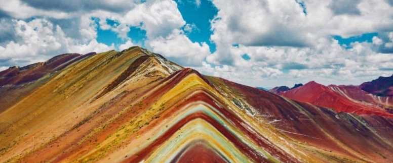 Team Lion🐯 banner