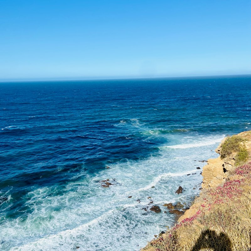 10,000 steps per day logo