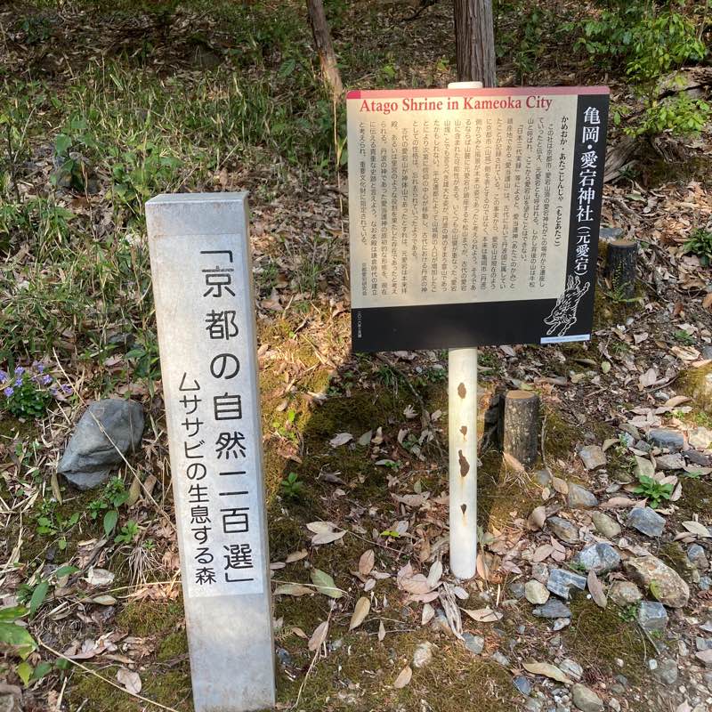 歩く亀人🐢 logo