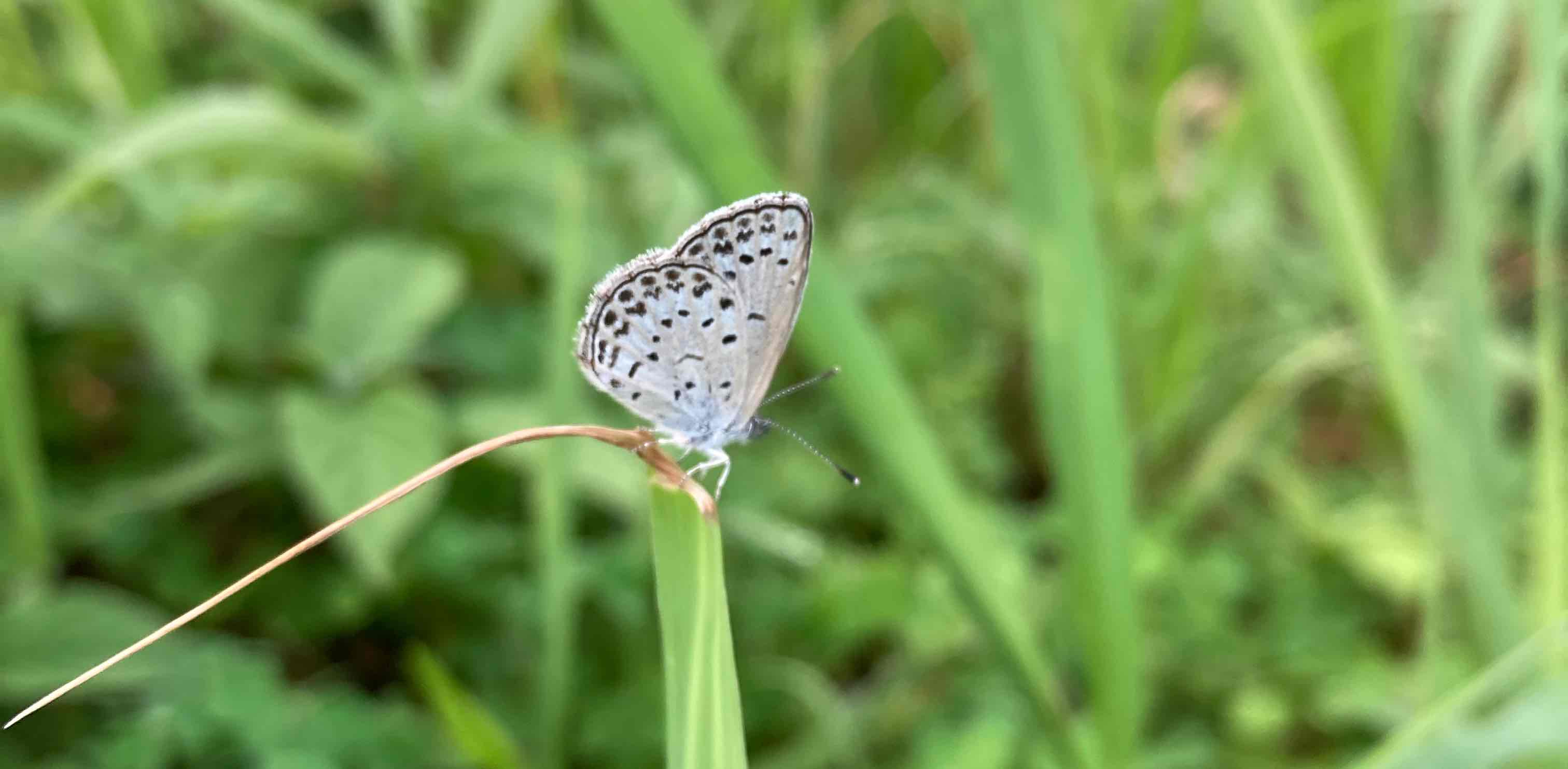 歩く亀人🐢 banner