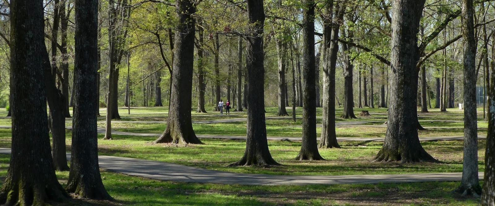 StraightWalkers banner