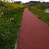 Nara Walk Club logo