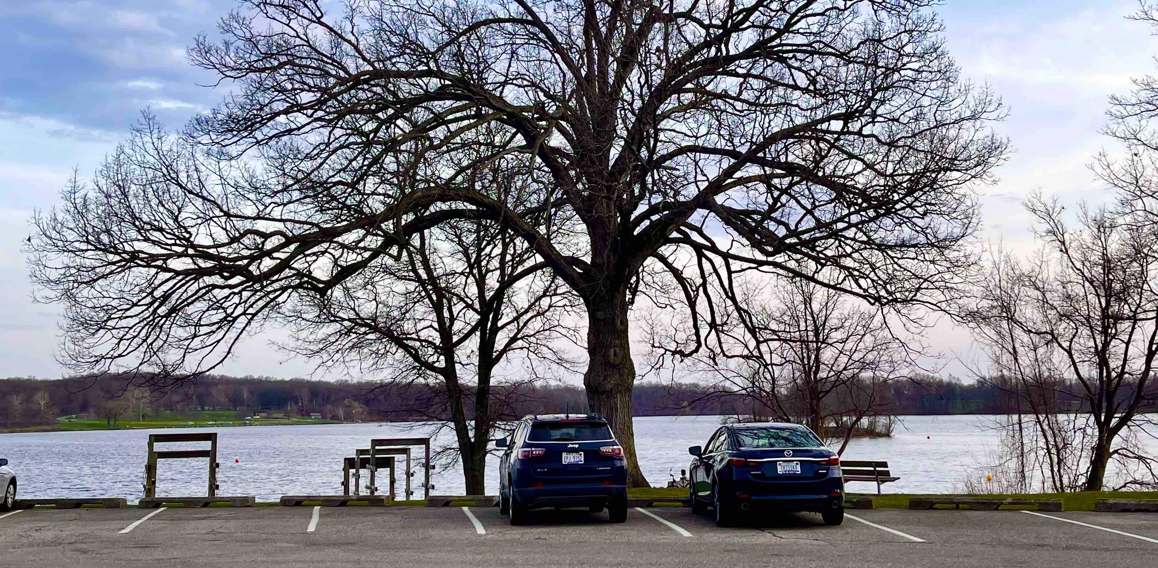 TMW Paadayatrists banner