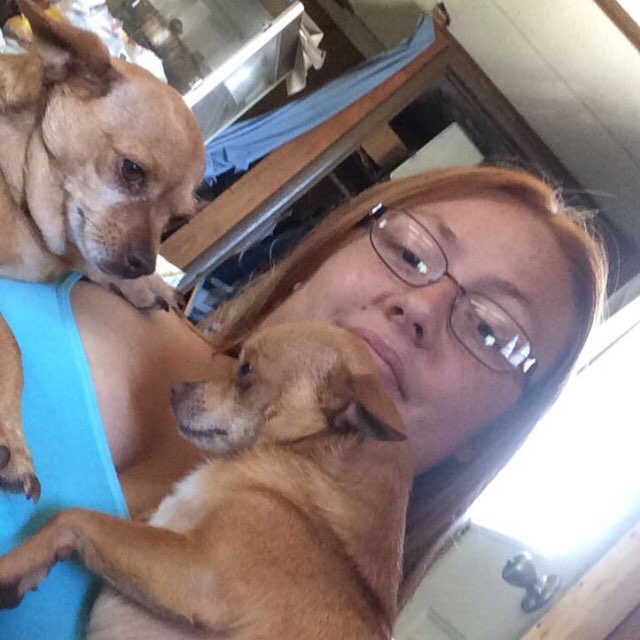 walking with a dog logo