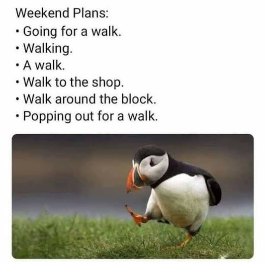 I walk to the pub 😅 logo