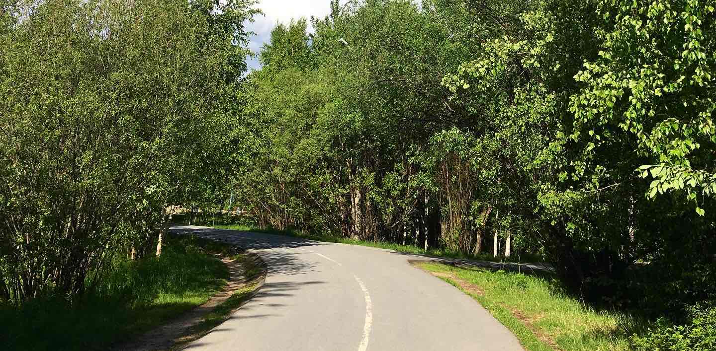 🚶‍♂️🏃‍♀️🔥JOINT SPORT🔥🎿🛼 banner