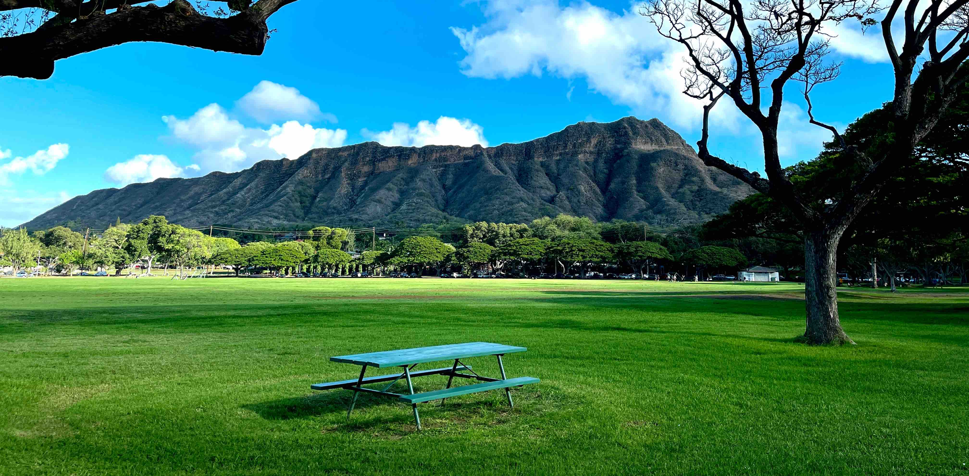 Waikiki Walkers banner