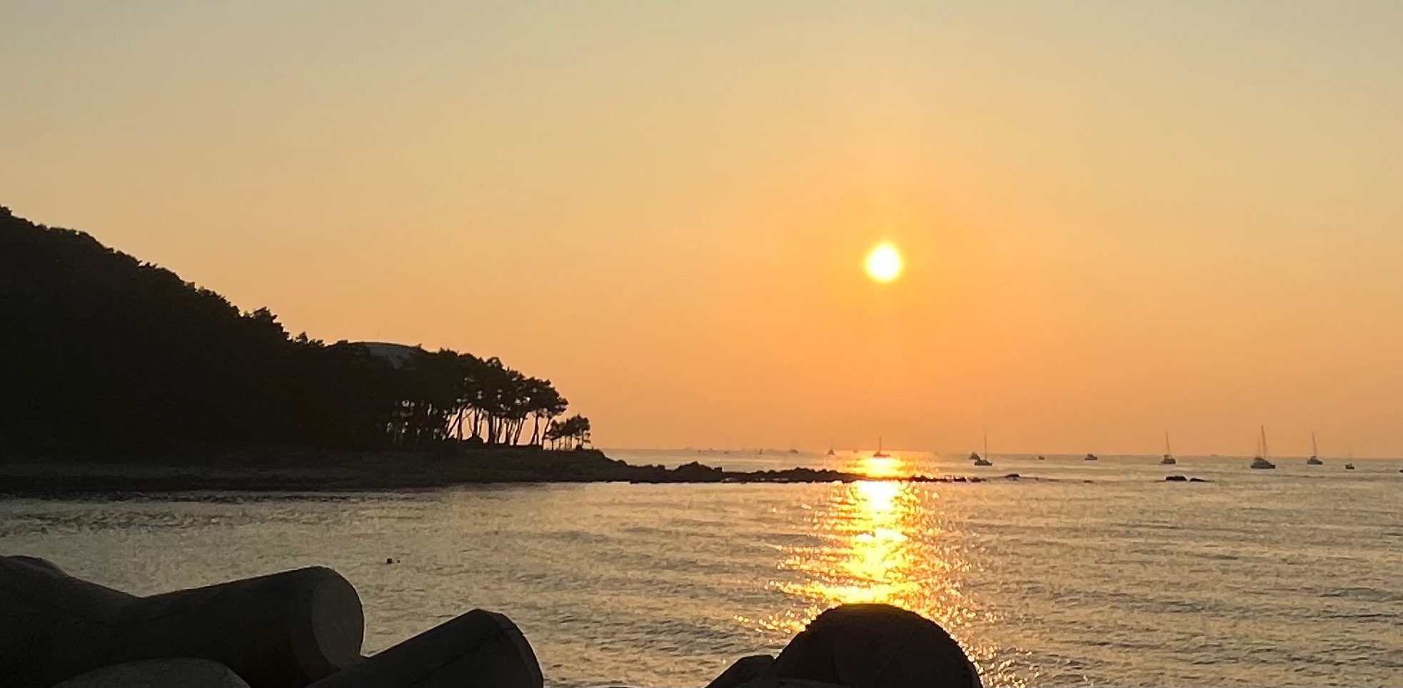 코린스타 걷기 챌린지 banner