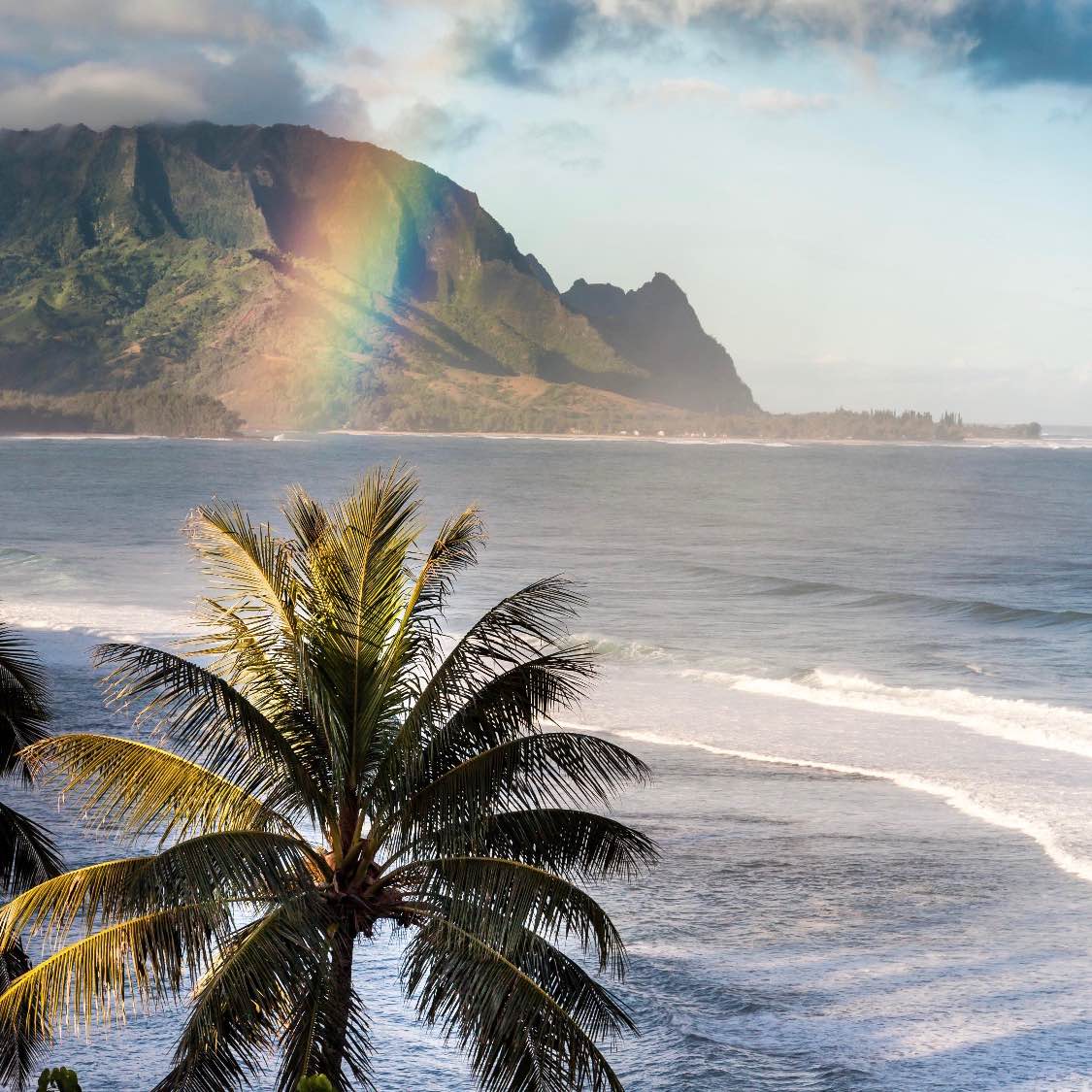 Ayan Z’s Walking Challenge logo