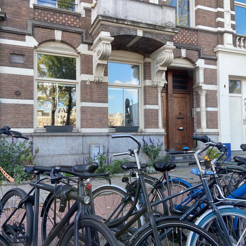 T as mis le kimono 👘 logo