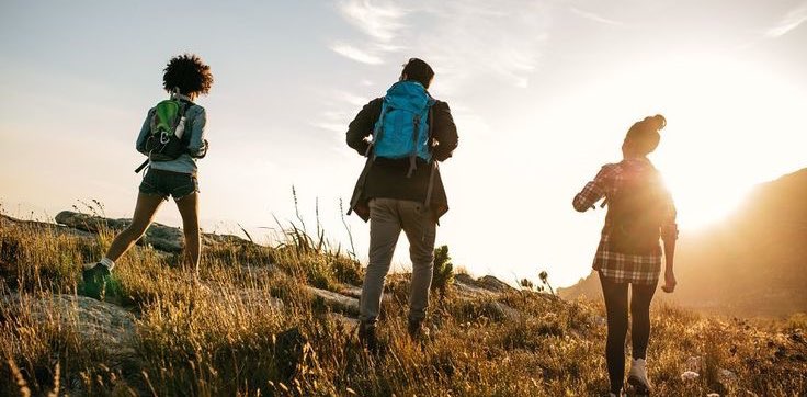 2025 Walking Challenge banner