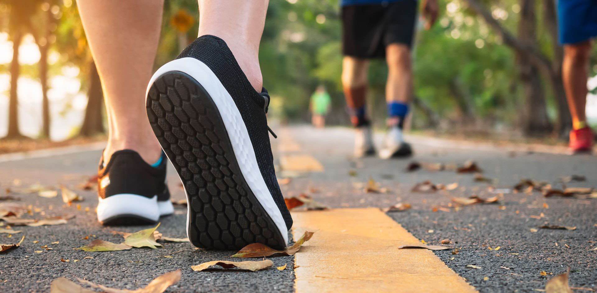 Shelf Indulgence banner