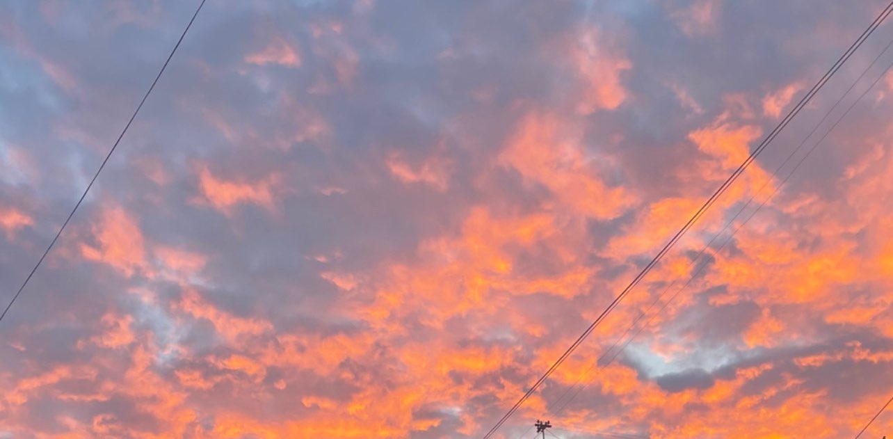 Шагаем в удовольствие banner