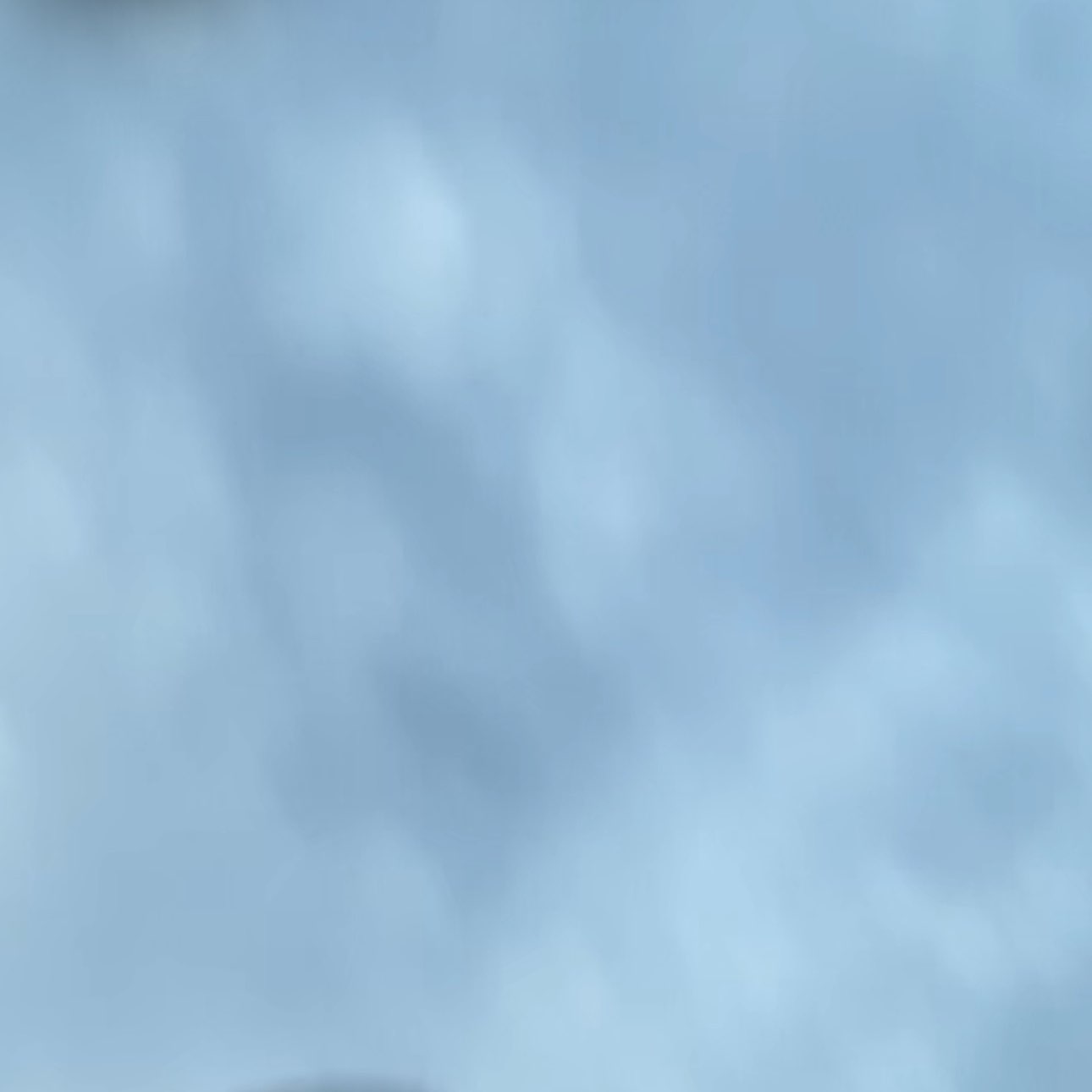 Living in Livingston logo