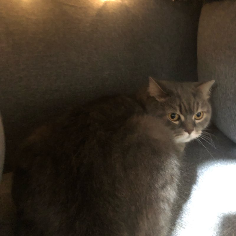 💛Группа кисиков-хорошисиков💗 logo