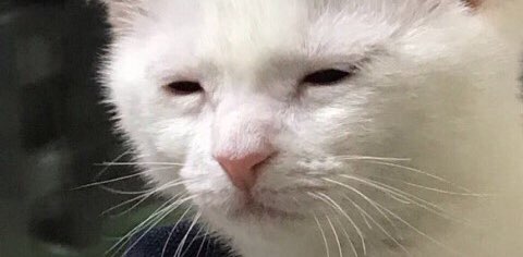 걷기 프로그램 banner