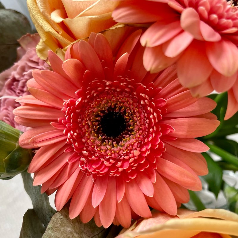 Stegutmaning Oktober månad logo