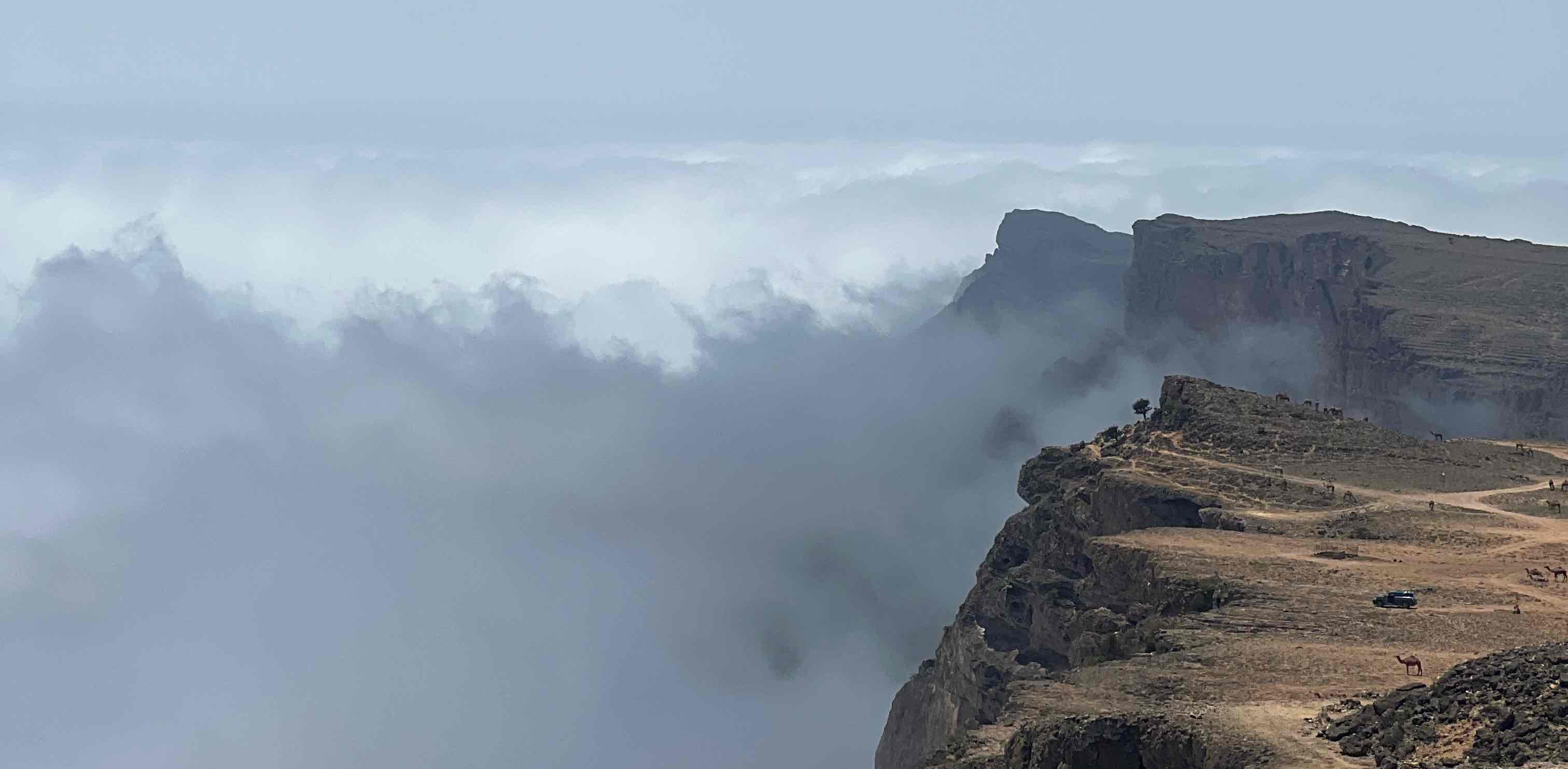 RSC GLOBAL EB banner