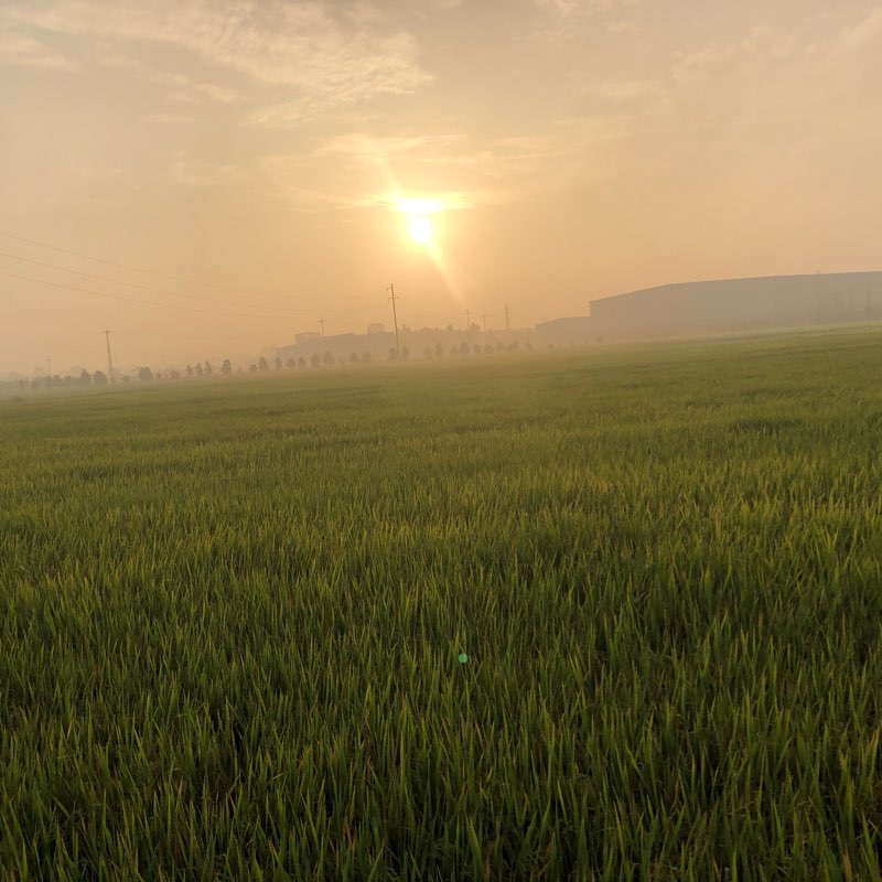 Năng Lượng Mới logo