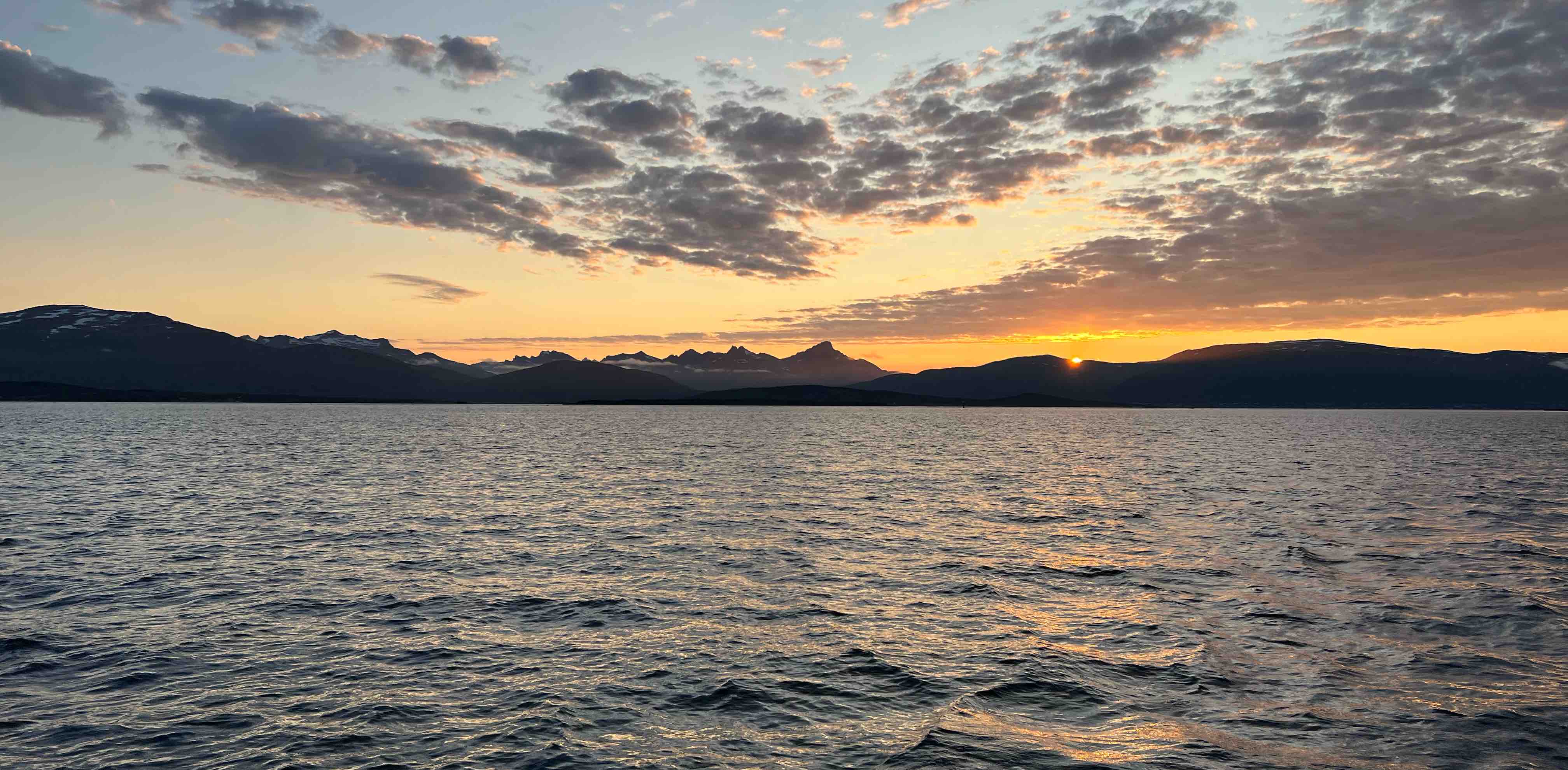 GPP Loyalists banner